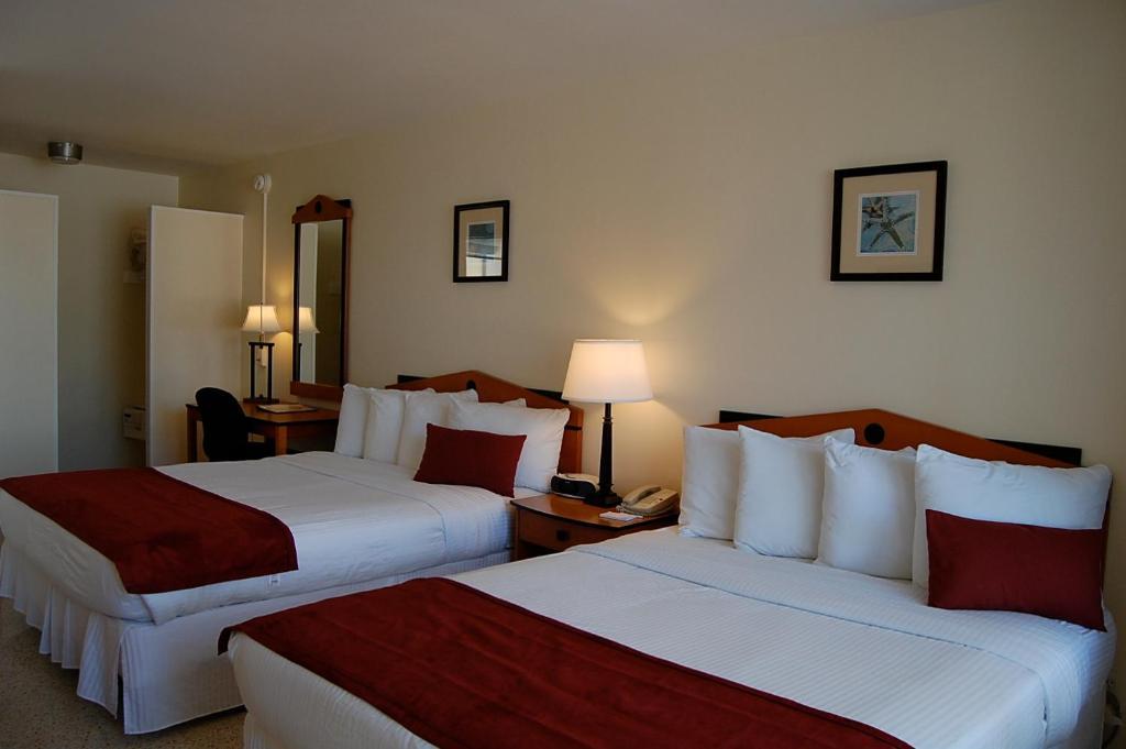 Alcazar Resort- Gay Mens Resort Fort Lauderdale Habitación foto